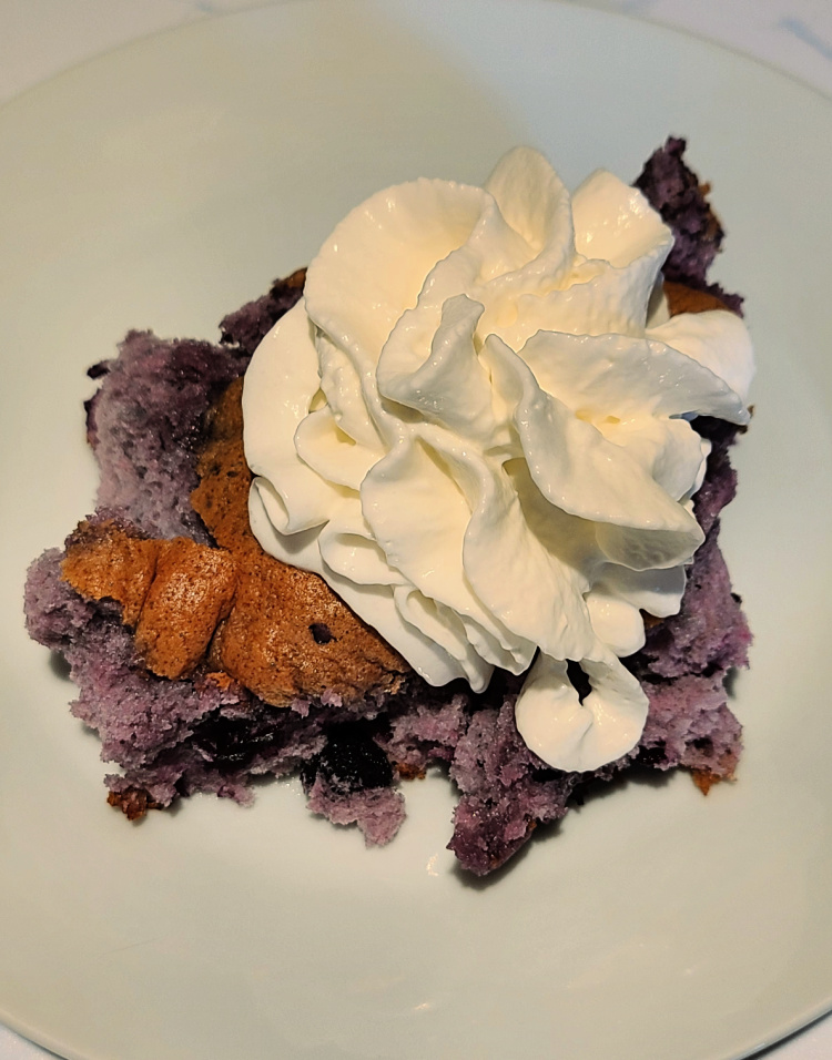 2 Ingredient Blueberry Angel Food Cake