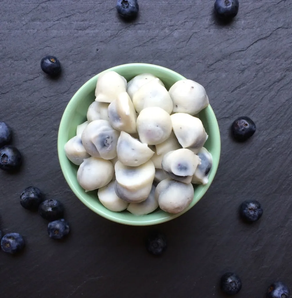 Blueberry Yogurt Protein Bars