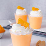 Protein Jello Recipe