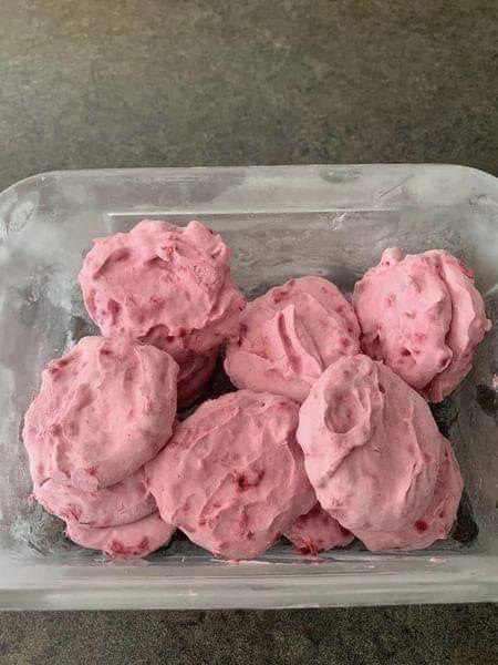 WW Pina Colada Greek Yogurt Bites